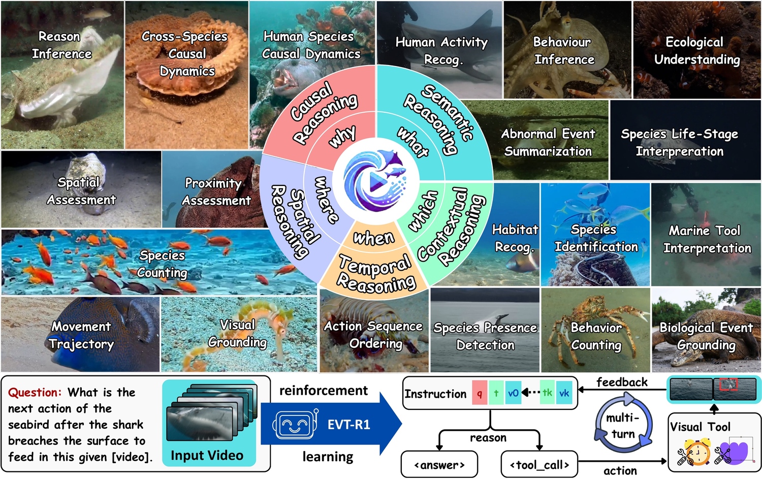 MarineEVT project examples of marine behaviour, species interactions and event reasoning