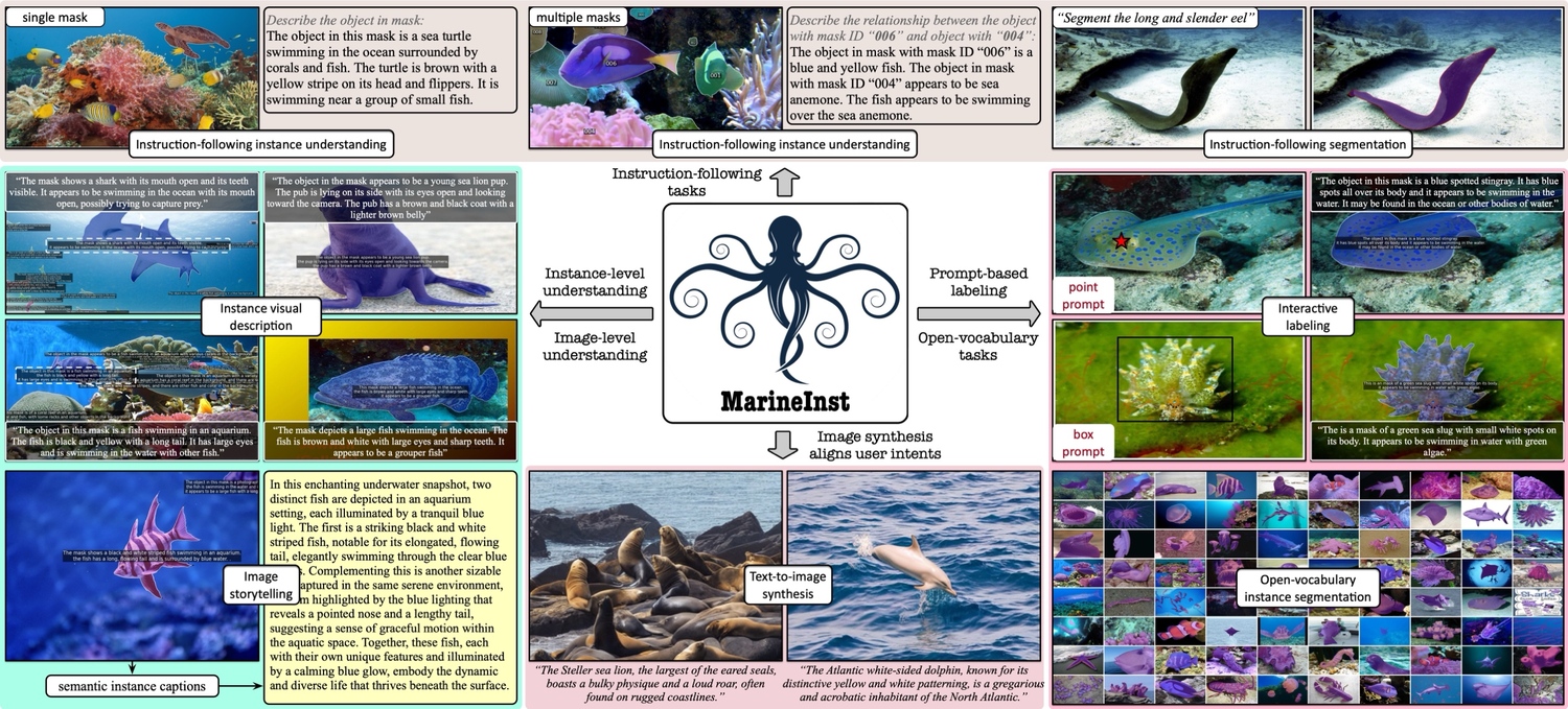 MarineInst identifies and segments a ray and a sea slug using point and box prompts